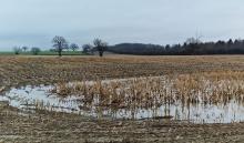 Soil testing vital following flooding 