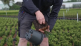 Video: How to take a potting soil sample?