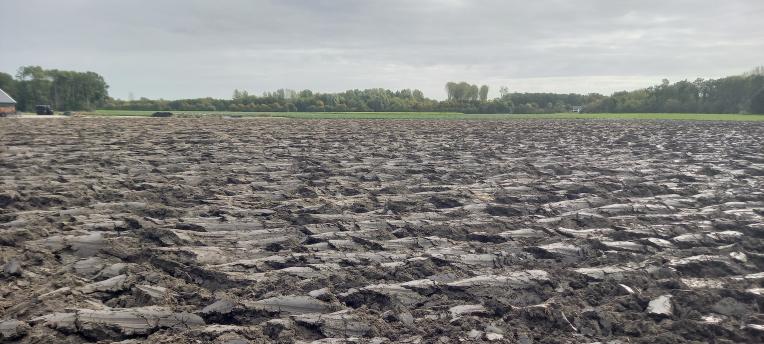 Nmin onvoorspelbaar na bijzonder groeiseizoen