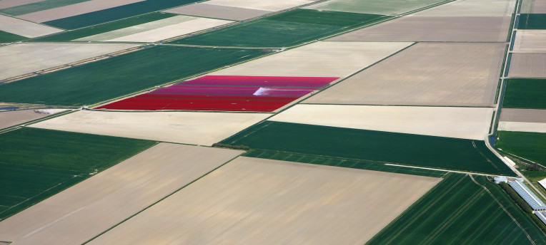 Spoor aaltjes op in het voorjaar