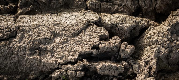 Van labmeting naar verslag met bulkdichtheid