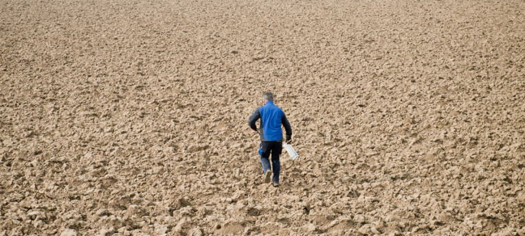 Vergeet de micronutriënten niet in het bemestingsplan voor 2025