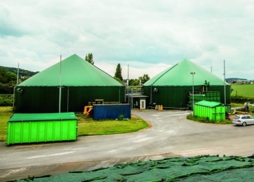 Biogas Feedstock 