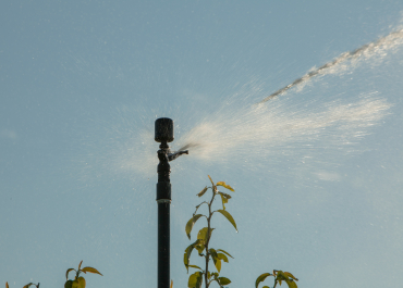 Irrigation water Check