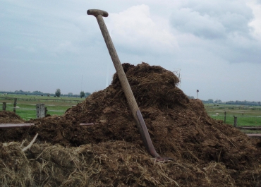 Organische Dünger / Wirtschaftsdünger