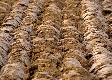 Routine Soil Analysis