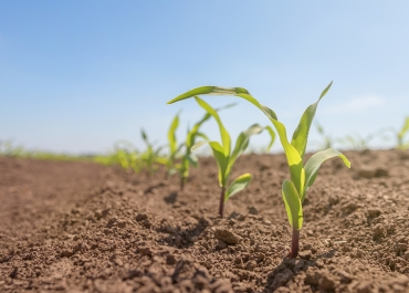 Soil Crop Monitor - JordVäxtStatus