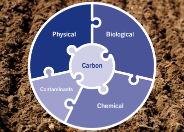 Soil Health Indicator