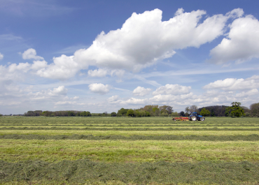 Tömegtakarmányok (Forage Manager) vizsgálata