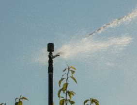 Irrigation water Check