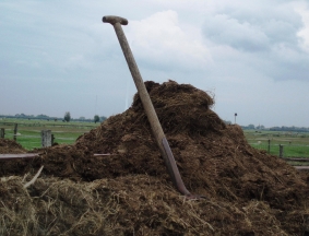 Organische Dünger / Wirtschaftsdünger