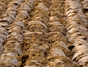 Routine Soil Analysis