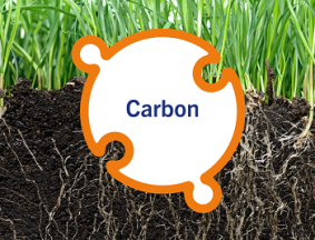 Soil Carbon Check