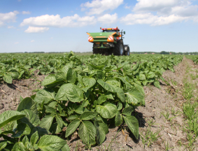 Soil Crop Monitor