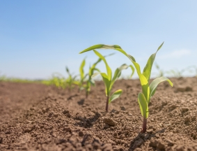 Soil Crop Monitor - JordVäxtStatus