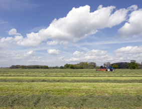 Tömegtakarmányok (Forage Manager) vizsgálata