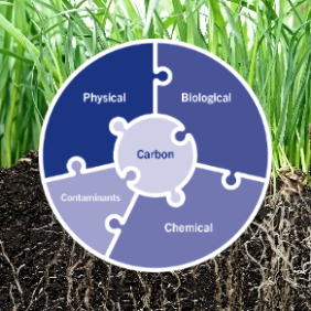 Improve your soil health